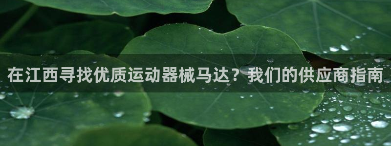 凯时登录平台去AG发财网：在江西寻找优质运动器械马达