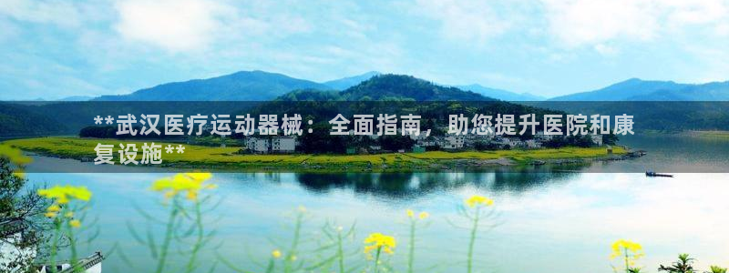 尊龙用现金一下可靠送38元：**武汉医疗运动器械：全