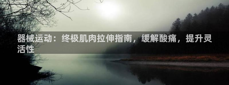 尊龙人生手机版：器械运动：终极肌肉拉伸指南，缓解酸痛