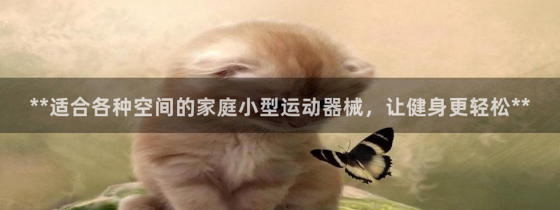尊龙凯时干什么的：**适合各种空间的家庭小型运动器械