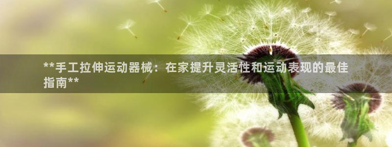 尊龙目前情况：**手工拉伸运动器械：在家提升灵活性和运动表现