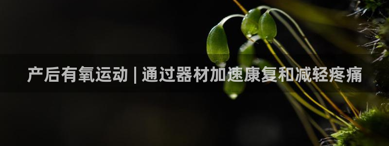 尊龙凯时logo：产后有氧运动 | 通过器材加速康复