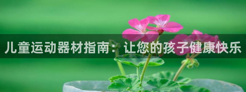 尊龙d88官网so问来就送38：儿童运动器材指南：让