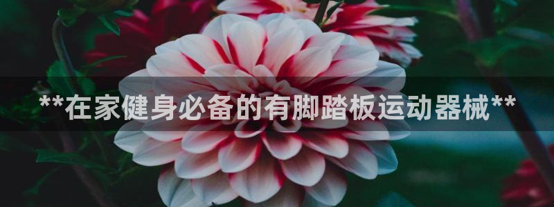 尊龙登录首页：**在家健身必备的有脚踏板运动器械**