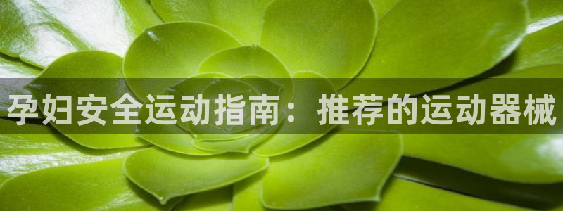 尊龙内地：孕妇安全运动指南：推荐的运动器械