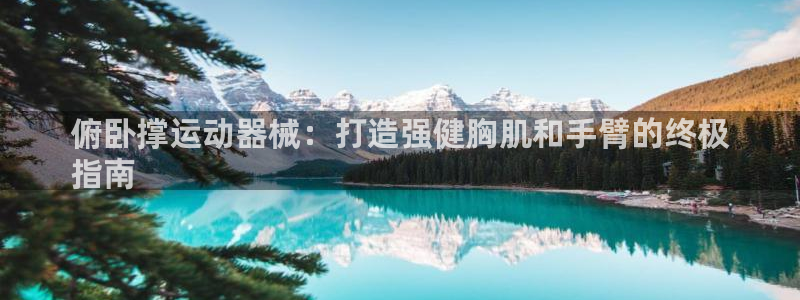 尊龙凯时网站网址：俯卧撑运动器械：打造强健胸肌和手臂