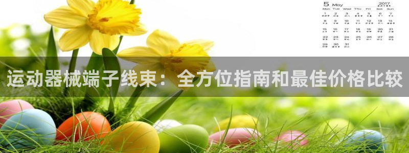 尊龙集团有限公司是国企吗：运动器械端子线束：全方位指