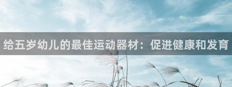 尊龙集团有限公司官网：给五岁幼儿的最佳运动器材：促进健康和发