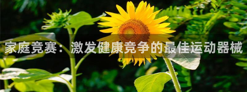 尊龙人生就是博官：家庭竞赛：激发健康竞争的最佳运动器