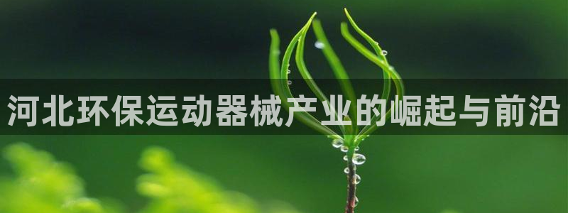 尊龙官网下载：河北环保运动器械产业的崛起与前沿