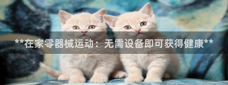 尊龙凯时怎么注册：**在家零器械运动：无需设备即可获
