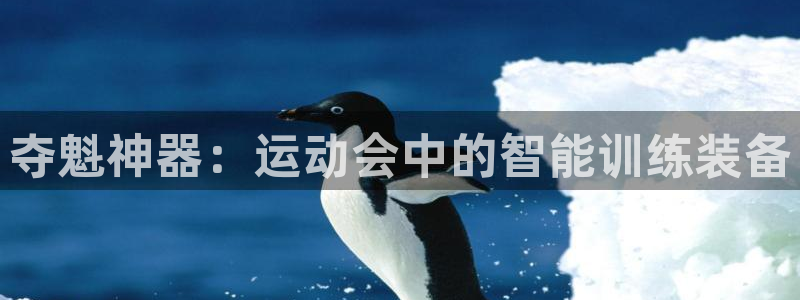 尊龙人生就是博l