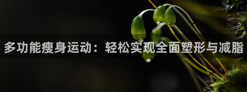 尊龙人生就是博网站