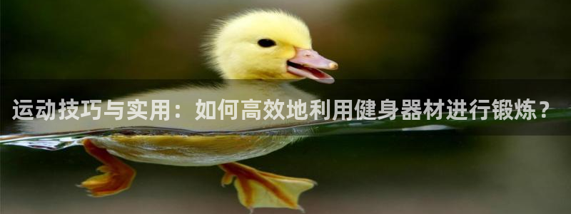 尊龙AG旗舰厅app下载