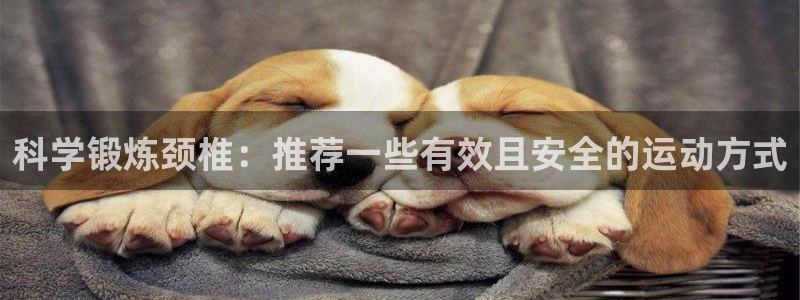 尊龙官方平台是正品吗