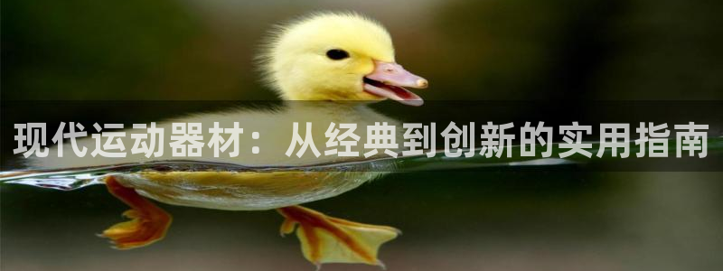 尊龙凯时输了100万