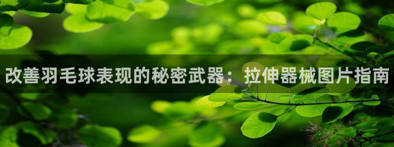 尊龙凯时干什么的：改善羽毛球表现的秘密武器：拉伸器械图片指南