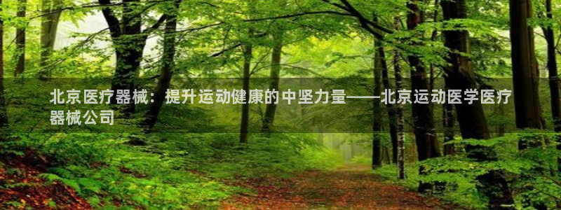尊龙凯时ag旗舰厅登陆：北京医疗器械：提升运动健康的