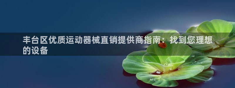 尊龙d88现金 旧版本可靠送38元：丰台区优质运动器械直销提