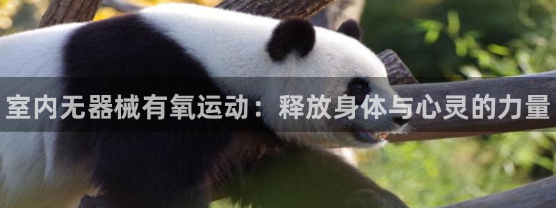 凯时平台怎么样