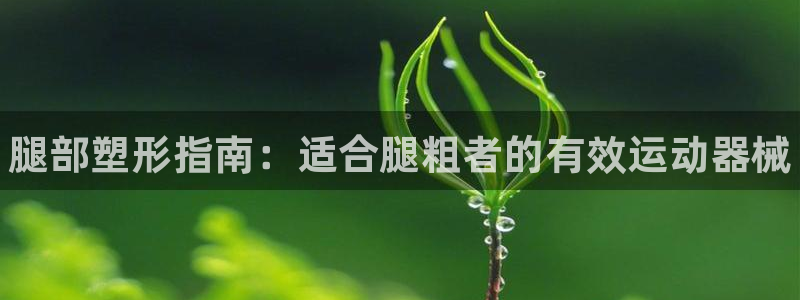 d88尊龙官方网：腿部塑形指南：适合腿粗者的有效运动