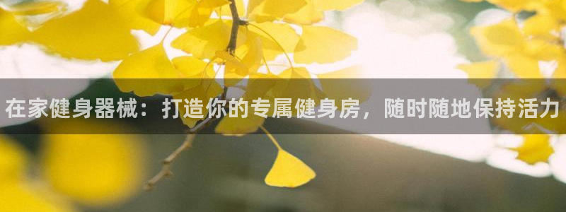 凯时AG网：在家健身器械：打造你的专属健身房，随时随