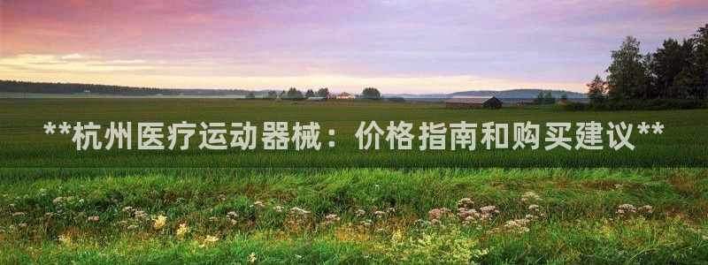 凯时AG网：**杭州医疗运动器械：价格指南和购买建议