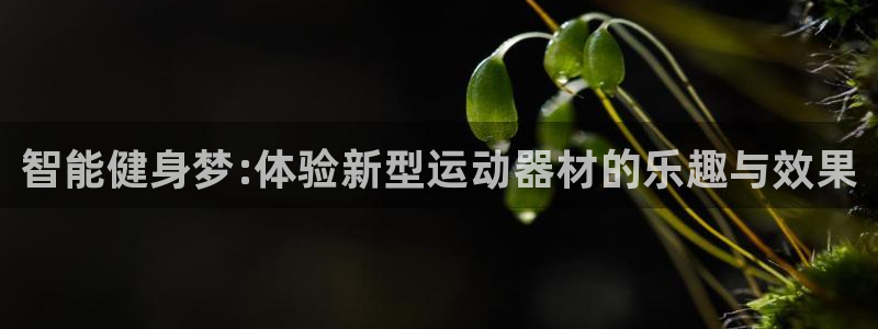 尊龙凯时是直营吗