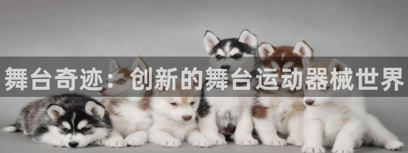 凯时k66会员登录