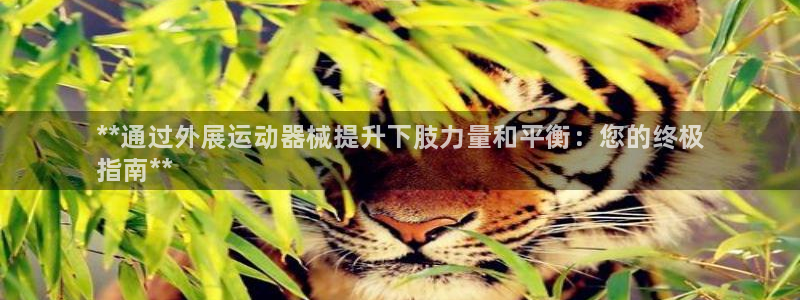 尊龙网站下分慢：**通过外展运动器械提升下肢力量和平