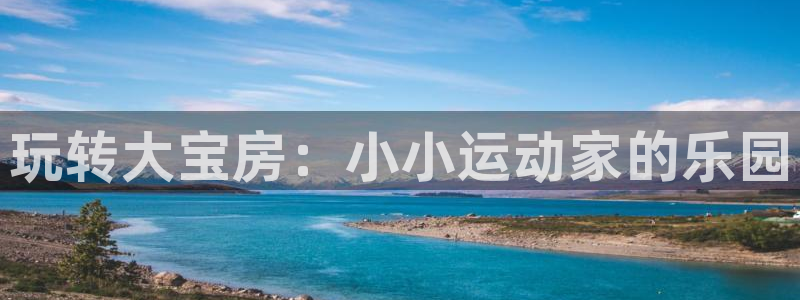 尊龙凯时人生就是搏客户：玩转大宝房：小小运动家的乐园